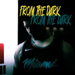 From the Dark - Single - Amil From the Dark - Single - Amil
