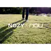 NOZY x NAU - Single album lyrics, reviews, download