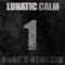 Centista (Elite Force Redesign 2000) - Lunatic Calm lyrics