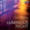 Luminous Night artwork