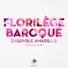 Ensemble Amarillis - Passacalle