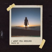 I Want You Around artwork