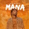 Mana (feat. Solidstar) - Odi lyrics