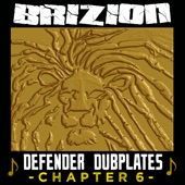 Defender Dubplates Chapter 6 artwork