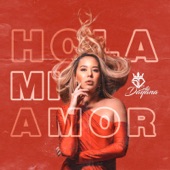 Hola Mi Amor artwork