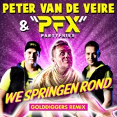 We Springen Rond (Golddiggers Remix) artwork