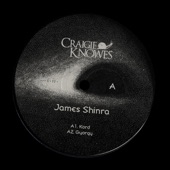 James Shinra - Gritti
