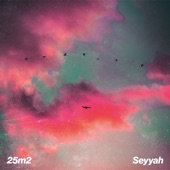 Seyyah artwork