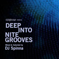 Deep Into Nite Grooves by DJ Spinna album reviews, ratings, credits