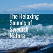 Calming Ocean Waves - EP artwork