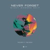 Trilane feat. Tom Noah - Never Forget (Nicky Romero Edit)