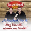 A Rüscherl Für Di / Hey Diandl Nimm an Tiroler - Single