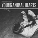 YOUNG ANIMAL HEARTS cover art