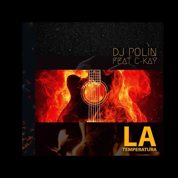 La Temperatura (feat. C-Kay) - Single - DJ Polin