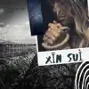 Xin Sui - Single album lyrics, reviews, download