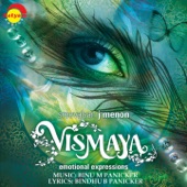 Vismaya artwork