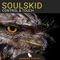 Control & Touch - Soulskid lyrics
