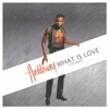What Is Love (The Mixes)