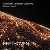 Australian Chamber Orchestra & Christopher Lyndon Gee - Symphony No. 6 in F Major, Op. 68 "Pastoral": 2. Szene am Bach (Andante molto mosso)