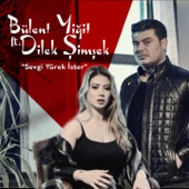Sevgi Yürek İster (feat. Dilek Şimşek) artwork