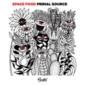 Primal Source (Extended Mix) artwork