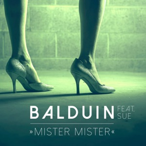 Balduin - Mister Mister (feat. Sue) - 排舞 编舞者