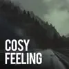 Cozy Feeling album lyrics, reviews, download