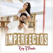 Imperfectos (Spanish Version) artwork