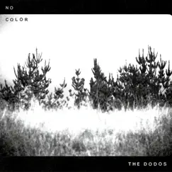 No Color by The Dodos album reviews, ratings, credits