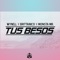 Tus Besos (feat. Brittanico & Monsta Mr) - wynell lyrics