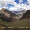 Apus del Alma - Single