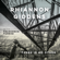 Wayfaring Stranger (with Francesco Turrisi) - Rhiannon Giddens