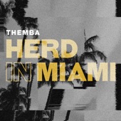 Herd in Miami (DJ Mix) artwork