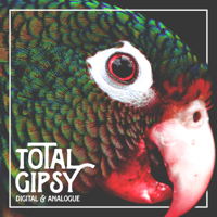 Total Gipsy - Digital & Analogue artwork