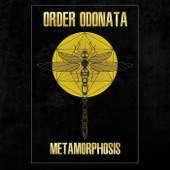 Order Odonata: Metamorphosis artwork