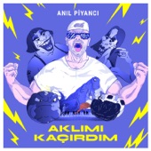 Aklımı Kaçırdım artwork