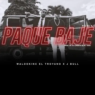 Pa que Bajé (Remix) - Single - Waldokinc El Troyano