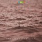 Bebop in the Forest of Lonely Rhythms - Jon Christopher Nelson lyrics