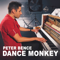 Dance Monkey - Peter Bence