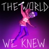The World We Knew - Single