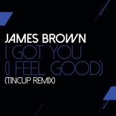James Brown - I Got You ( I Feel Good)