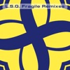 Fragile Remixes, 1994