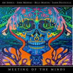 Floating in the Void (feat. Billy Martin, John Medeski & Jason Fraticelli) Song Lyrics