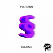 Pelikann - Section (Original)