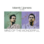 Mind of the Wonderful (with Elles) [Martin Roth Remix V2 Edit] artwork