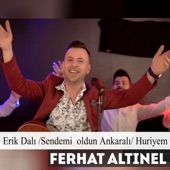 Erik Dalı /Sendemi  Oldun Ankaralı/Huriyem artwork