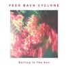FEED BACK CYCLONE - Rolling In The Sun