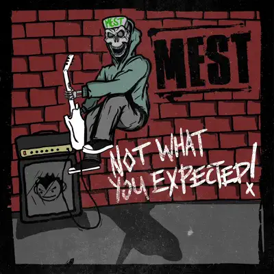 Not What You Expected - Mest