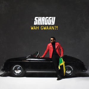 Shaggy - Body Good (feat. Nicky Jam) - Line Dance Musik