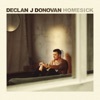 Declan J Donovan - Homesick